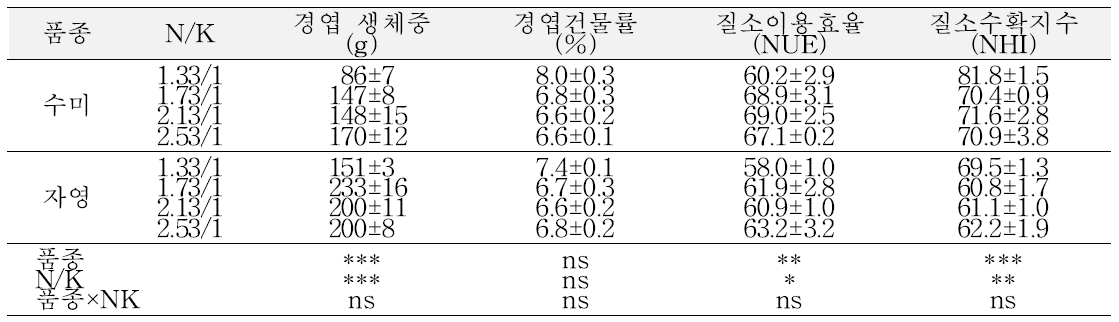 배양액의 NO3/K 비율별 식물체 생장 및 질소이용 특성(봄 재배, 정식 후 90일)