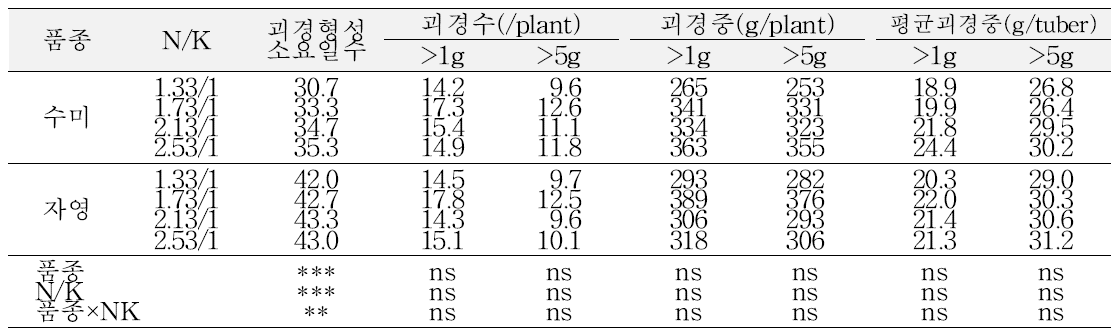 배양액의 NO3/K 비율별 미니튜버 생산성(봄 재배, 정식 후 90일)