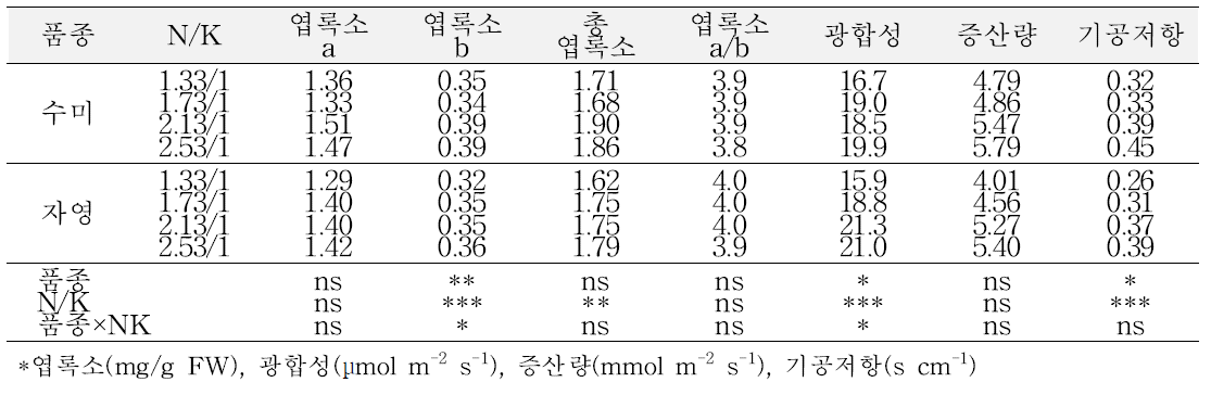 배양액의 NO3/K 비율별 식물체 생리활성(가을재배, 정식 후 60일)