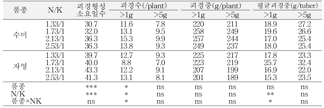 배양액의 NO3/K 비율별 미니튜버 생산성(가을재배, 정식 후 80일)