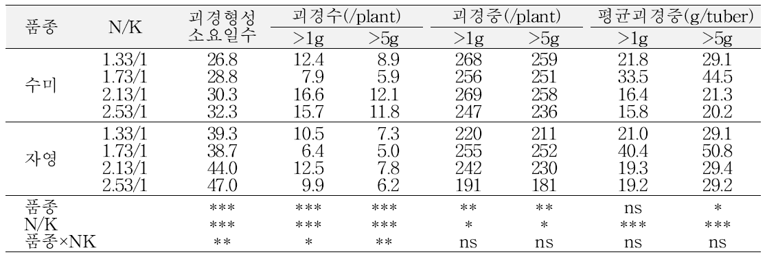 배양액의 NO3/K 비율별 미니튜버 생산성(봄 재배)
