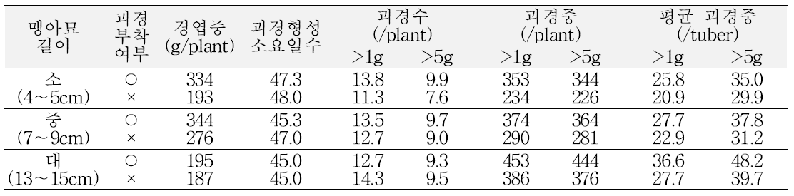 자영