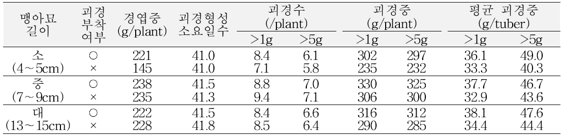 자영