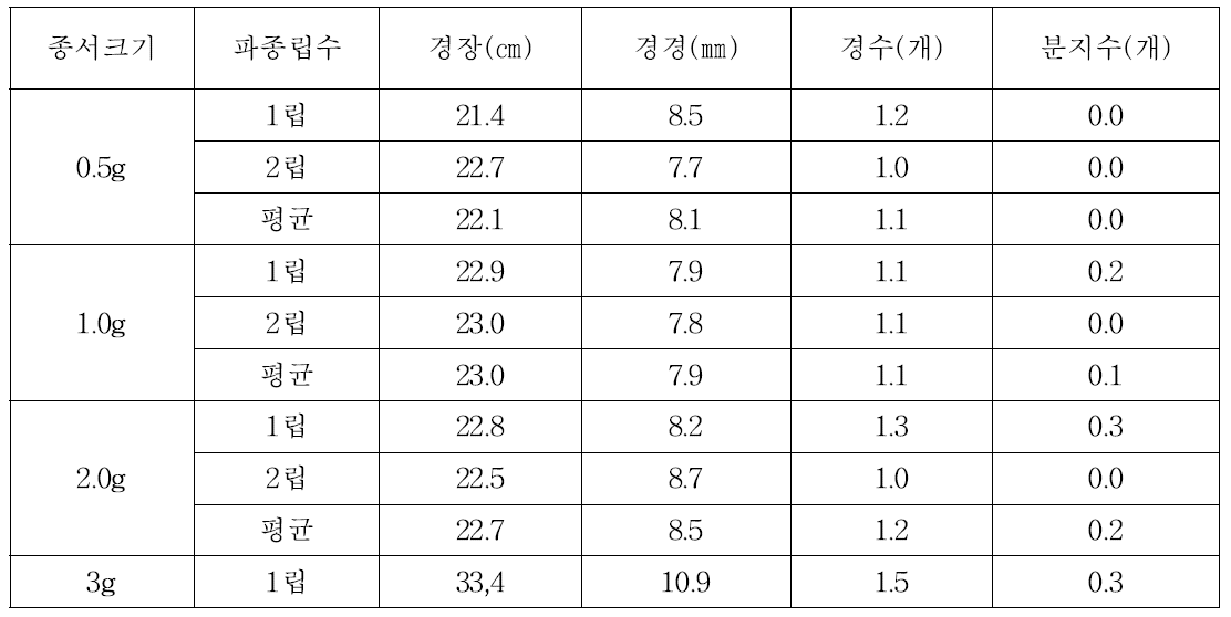 수경재배 미니씨감자 종서크기 및 파종립수별 생육특성(2013년 가을재배)