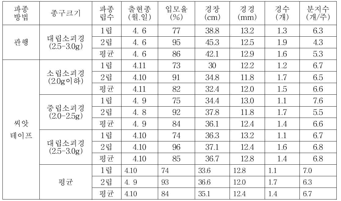 미니씨감자 파종방법에 따른 생육특성(2014년 봄재배)