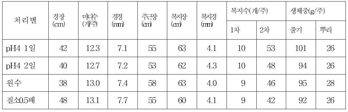 봄 수경재배시 괴경형성 처리방법에 따른 생육특성