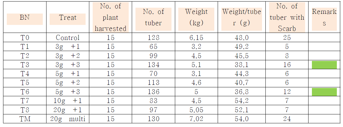 솔라라 품종에 있어서 처리구별 수확된 괴경의 수, 무게 및 더뎅이병 발병 정도 비교