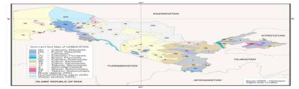Dominant soil map of Uzbekistan