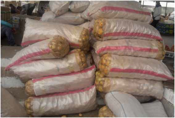 타슈켄트 도매시장에서 유통되는 감자의 포장단위, 약 50kg포대