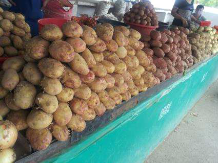 타슈켄트 감자 소매점 모습과 2014년 6월경 감자소매가격, 1,990~2,490숨/kg