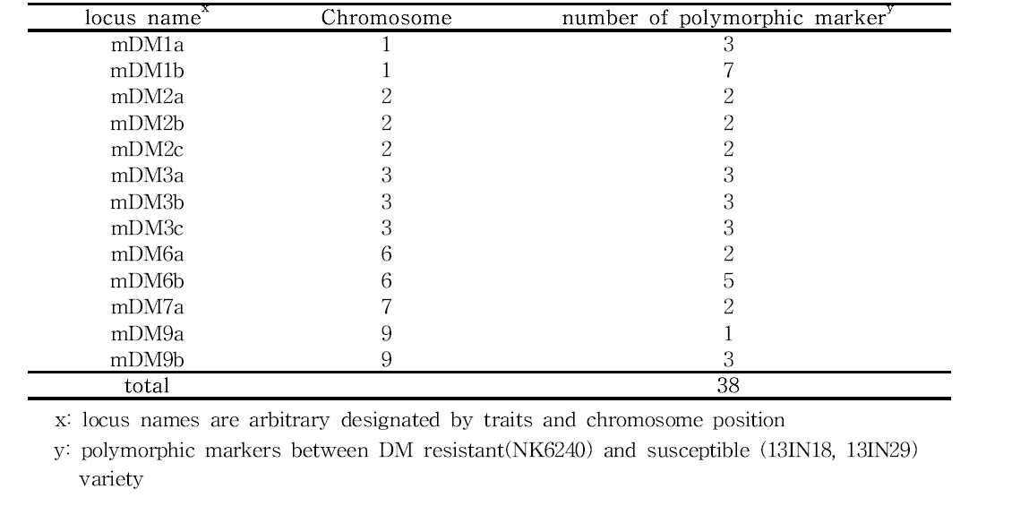 노균병 저항성 시료(NK6240)에 특이적으로 polymorphism을 보인 마커