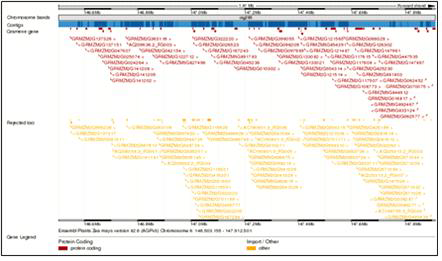 Overview of 1.4 Mbp fragment of blng1702 QTL marker loci. Red color letters indicated predicted transcripts.