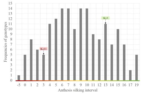 F2 population (Ki11 x Ki3) ASI score under drought stress