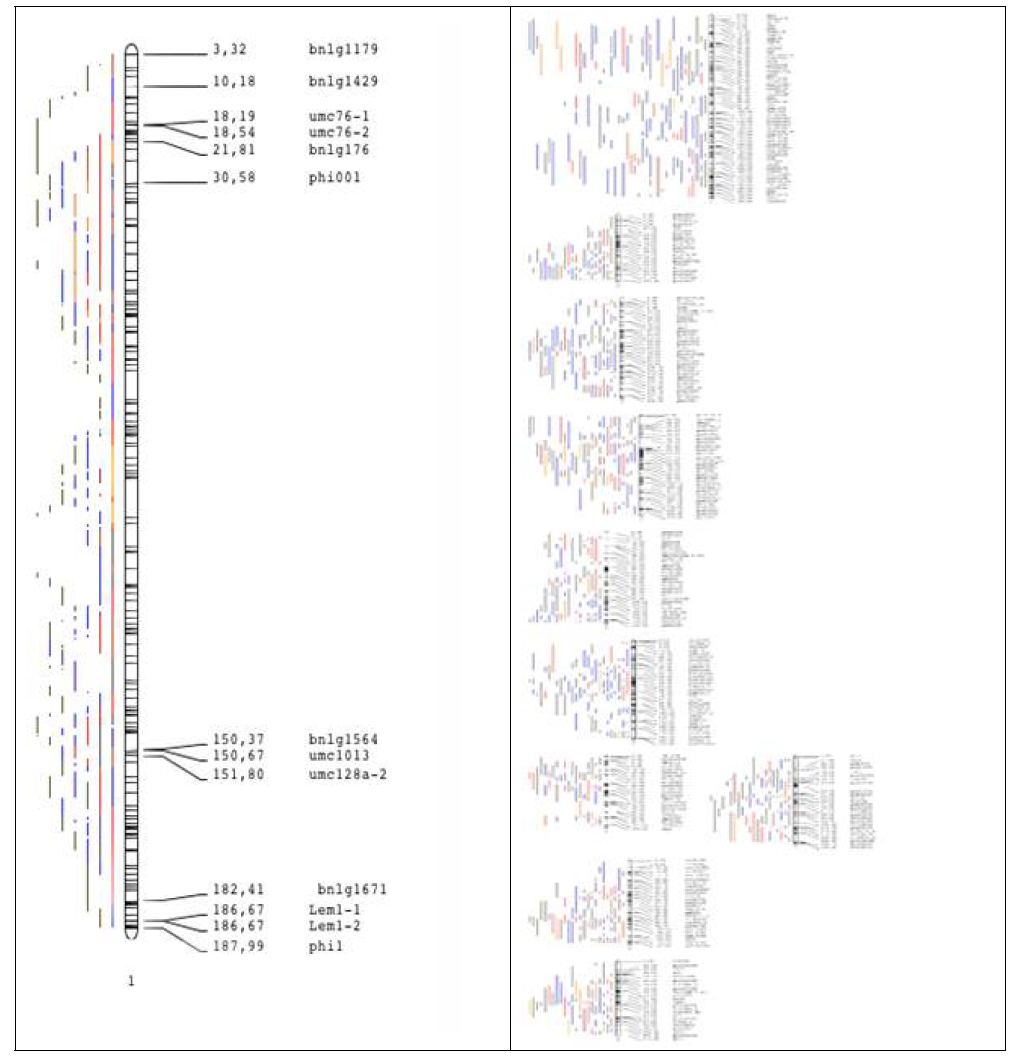 Results of meta-QTLs analysis with QTLs marker involved in drought tolerance