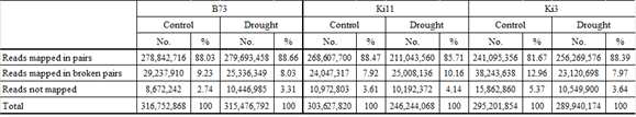 Summary of RNA-seq reads.