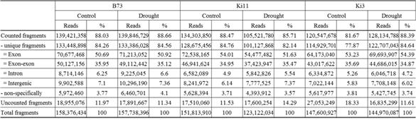 Results of counted fragments