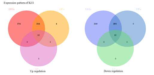 Summary of differentially expressed genes (DEGs), differentially expressed isoforms (DEIs) and novel transcripts (NT).