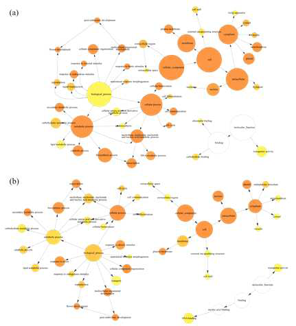 Hypergeometric test from DEGs and DEI of drought treated Ki11