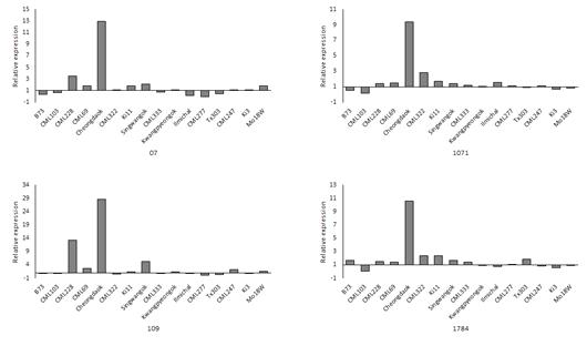 Validation of molecular marker from drought responsive-genes using qRT-PCR.