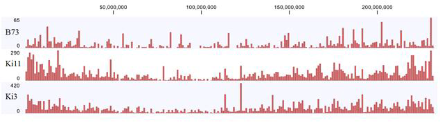 A number of variants from RNA-seq analysis.