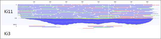 Schema of drought response contig (1017) from de novo analysis