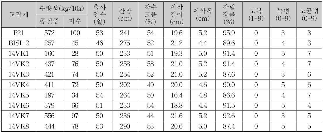 인도네시아 예비선발시험 교잡계의 주요특성