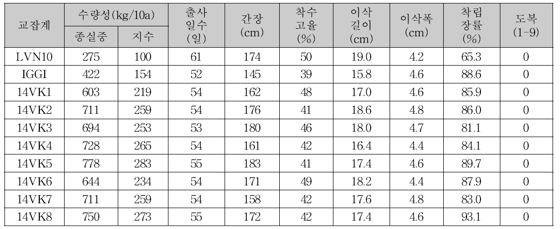 캄보디아 예비선발시험 교잡계의 주요특성