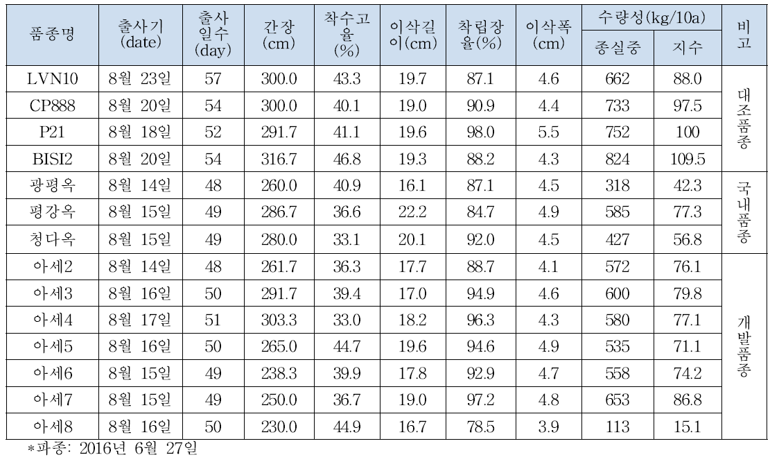 2016년 인도네시아 지역적응성 검정 생육 특성 및 수량 조사