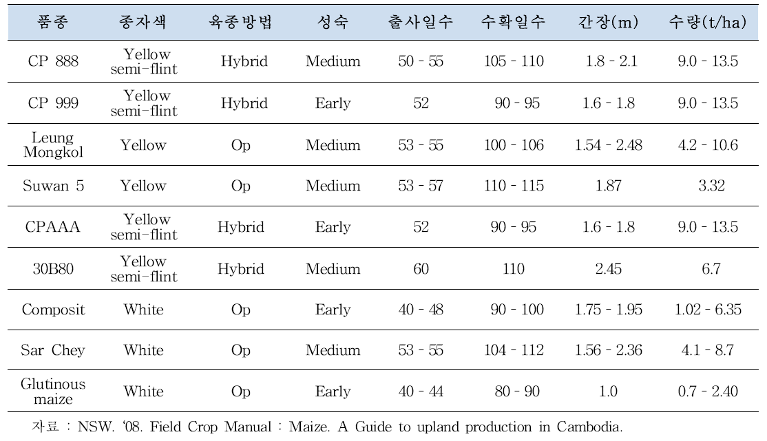 캄보디아 판매 주요 옥수수 품종 특성