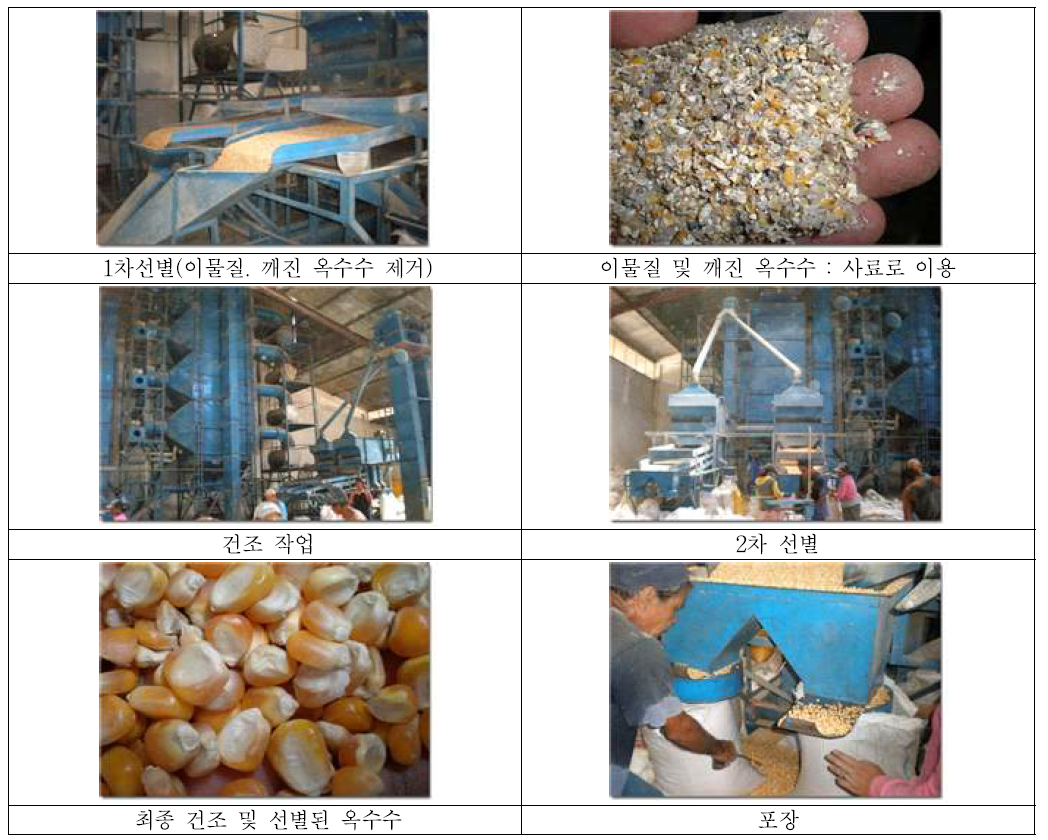 옥수수 선별·건조 공정