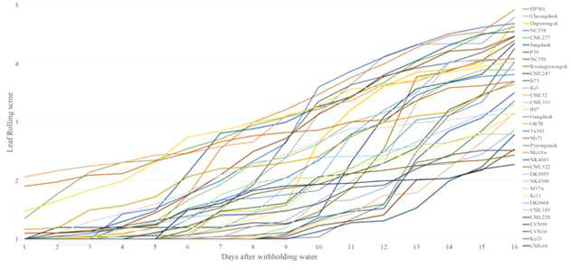 Relationship between leaf rolling score and drought stress during a 16-day period.