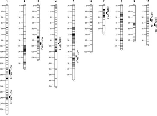 Eight-meta QTL analysis based on drought tolerance populations for grain yield (GY) and anthesis-silking interval (ASI) in tropical regions.