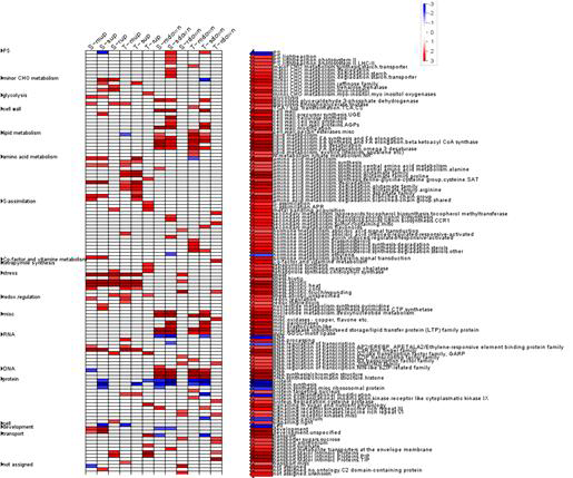 Pathway of specific expression genes under drought stress.