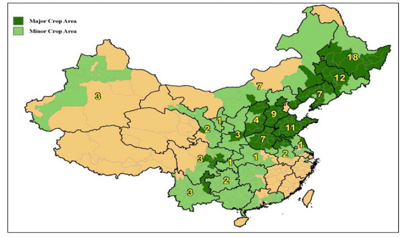 중국의 옥수수 주요 생산 지역과 비율