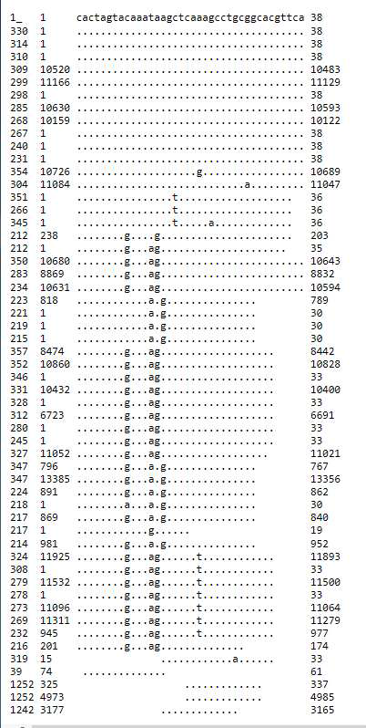 옥수수 전이인자 database로부터 얻은 CACTA 전이인자의 3’ 말단 서열들의 multiple alignment 결과