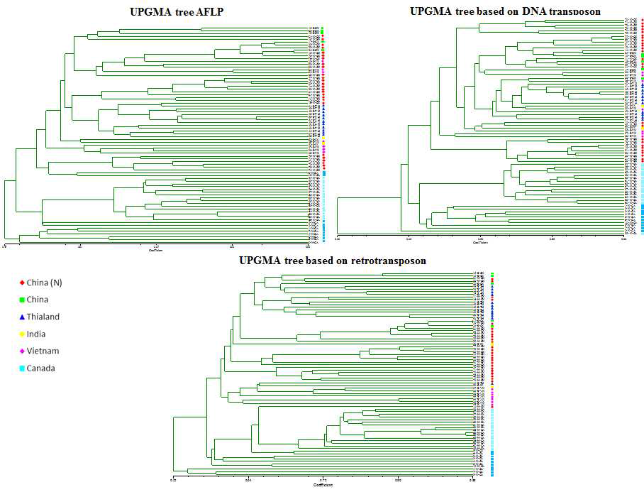 Unweighted Pair-Group 방법을 활용한 각 마커의 phylogenetic tree 분석