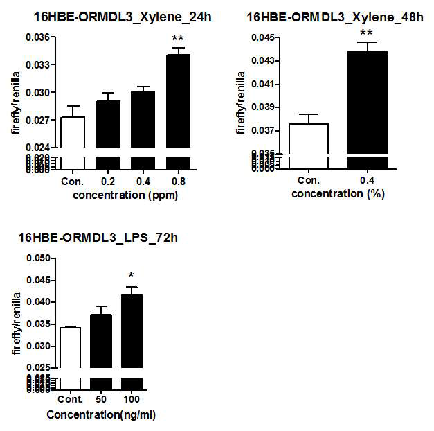 16HBE-ORMDL3 stable cell line에서 LPS와 xylene에 의한 promoter activity 증가 확인