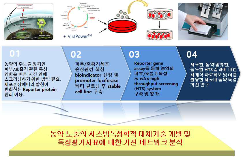 연구 개발 개요