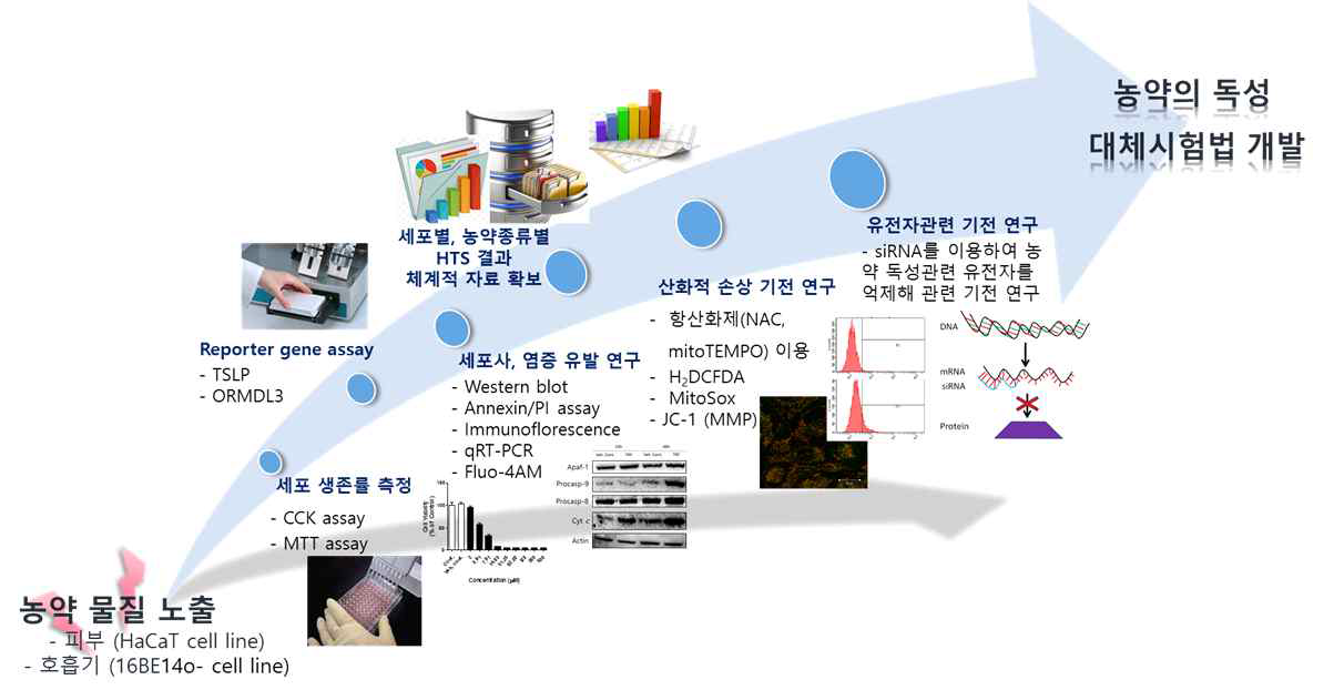 연구 과정