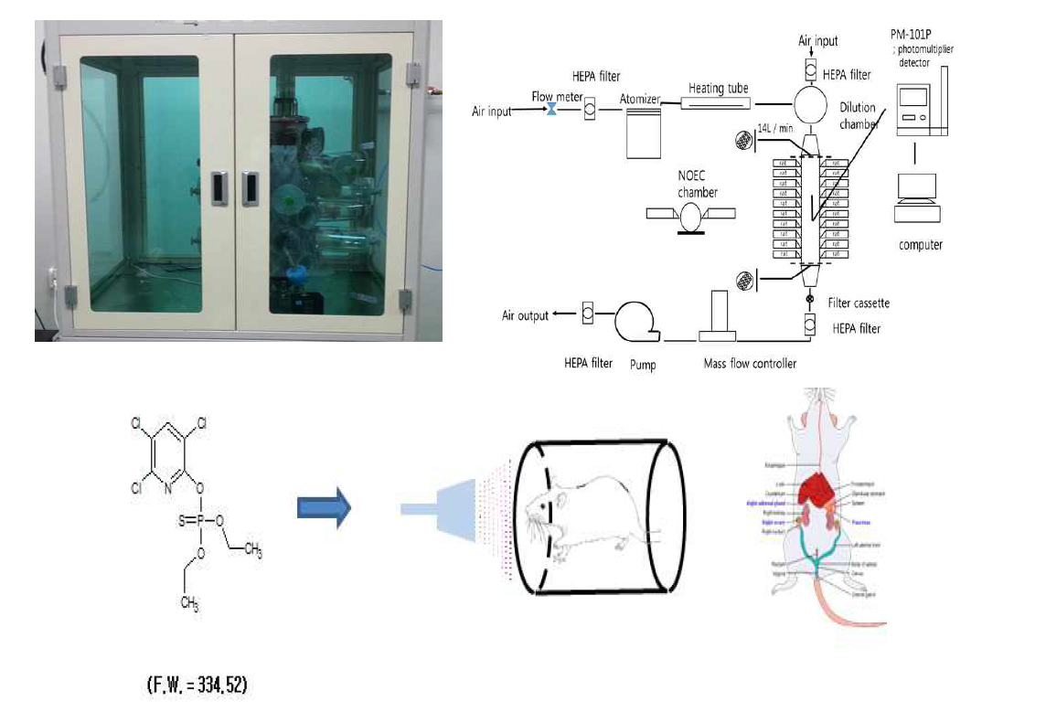 생체 내 흡입흡수율 시험법 확립 및 적용방법
