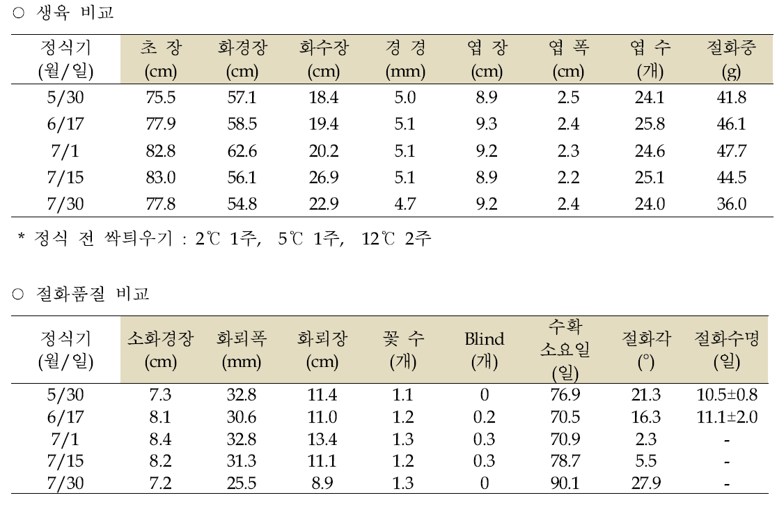 국내육성 나리 ‘그린아이즈’(12/14cm) 정식기별 생육 및 절화품질 비교