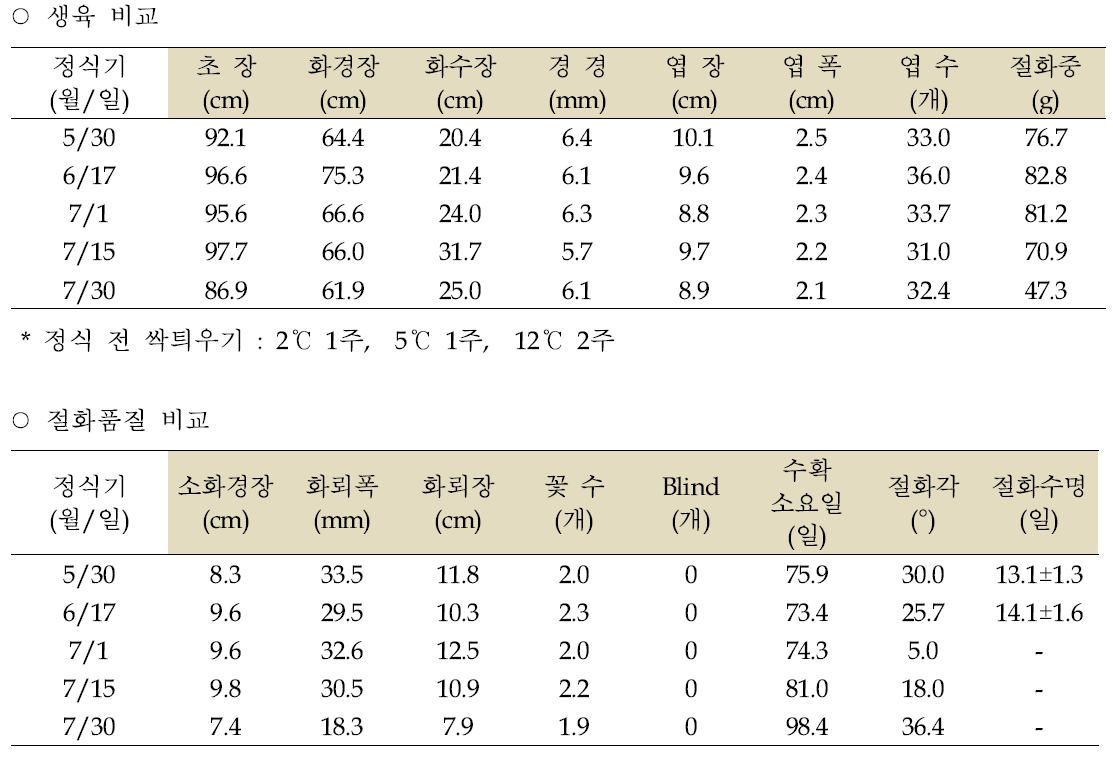 국내육성 나리 ‘그린아이즈’(14/16cm) 정식기별 생육 및 절화품질 비교