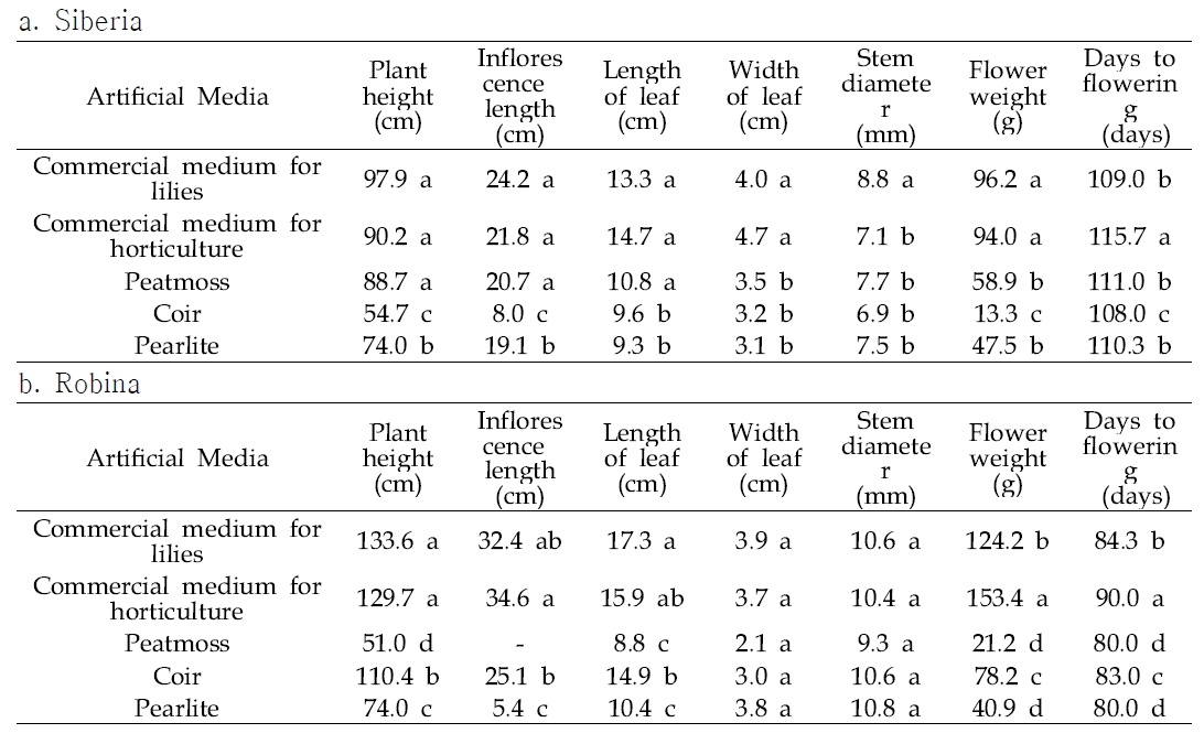 Growth characteristics of cut Lilium Oriental hybrid ‘Siberia’ and cut Lilium Oriental-trumpet hybird ‘Robina’ as affected by artificial media and planting date, Oct. 30