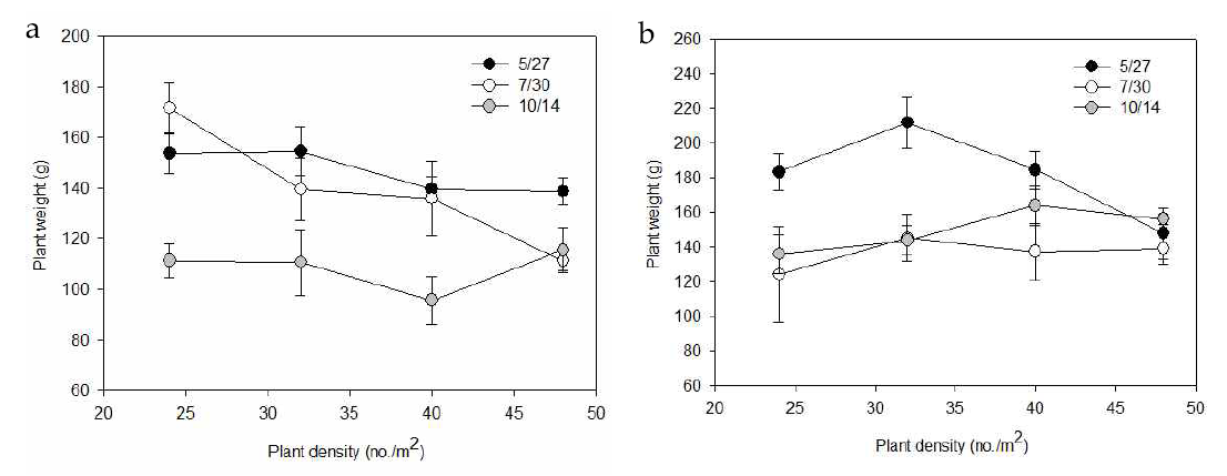 Change in plant weight and inflorescence  length of cut Lilium Oriental hybrid ‘Siberia’ (A) and Oriental-trumpet hybird ‘Robina’ (B) as affected by palnt density