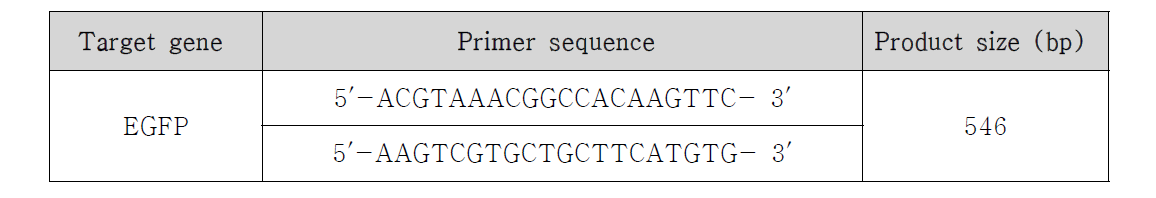 pCAG-EGFP 벡터로부터 Cy3-표지된 DNA 제작을 위한 PCR primer 서열