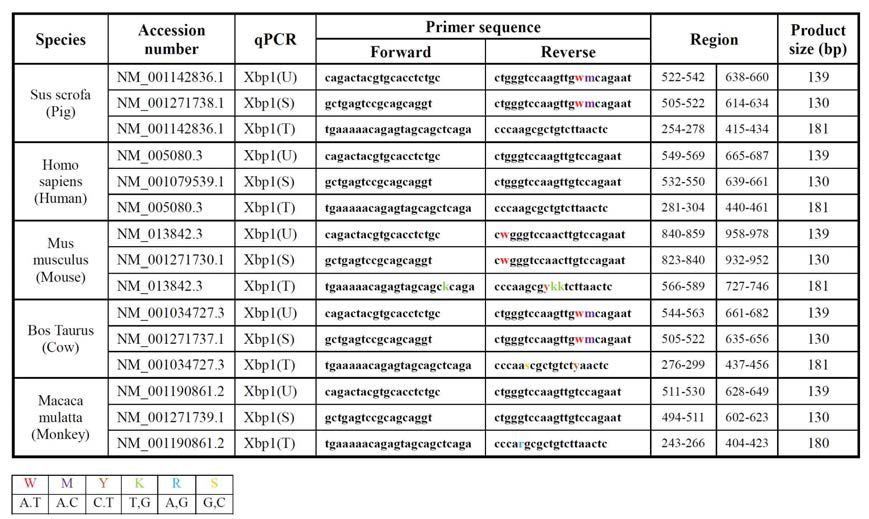 다양한 종에서의 XBP-1(uXBP-1/sXBP-1) 유전자 Real time-PCR primer 정보