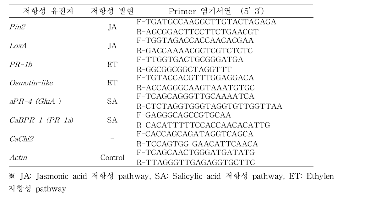 qRT-PCR에 이용된 토마토 병 저항성 유전자검출 primer