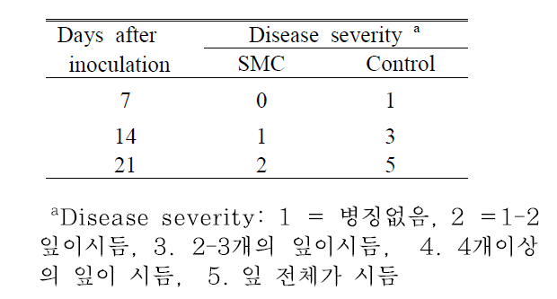 노루궁뎅이SMS 물 추출물의 토마토 풋마름병 억제효과.