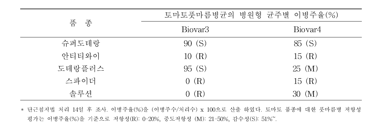 토마토 풋마름병균 병원형에 대한 토마토 품종의 발병율