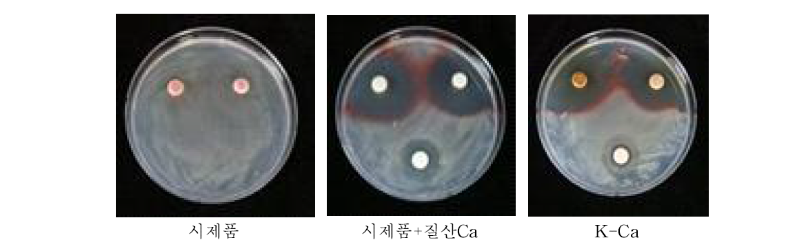 노루궁뎅이버섯 수확후배지 추출의 시제품의 토마토풋마름병균에 대한 항균활성.